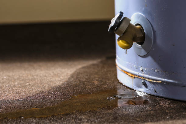 Best Professional water damage repair  in Gardnerville Ranchos, NV