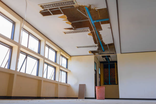 Best Basement water damage restoration  in Gardnerville Ranchos, NV