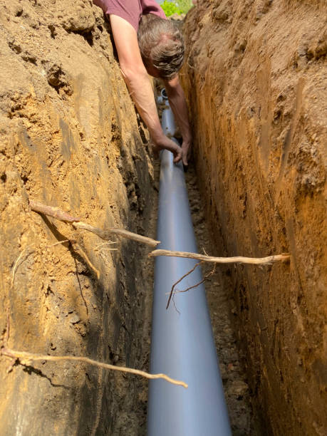 Best Flood damage cleanup  in Gardnerville Ranchos, NV