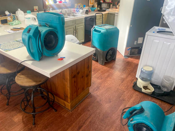 Best Mold removal after water damage  in Gardnerville Ranchos, NV