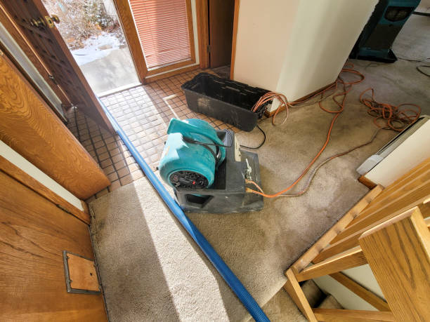 Best Flooded house restoration  in Gardnerville Ranchos, NV