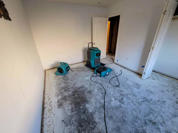 Best Fire Damage Restoration  in Gardnerville Ranchos, NV