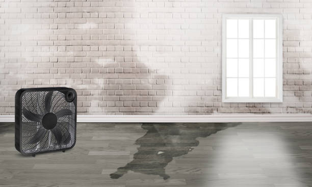 24/7 water damage repair in NV