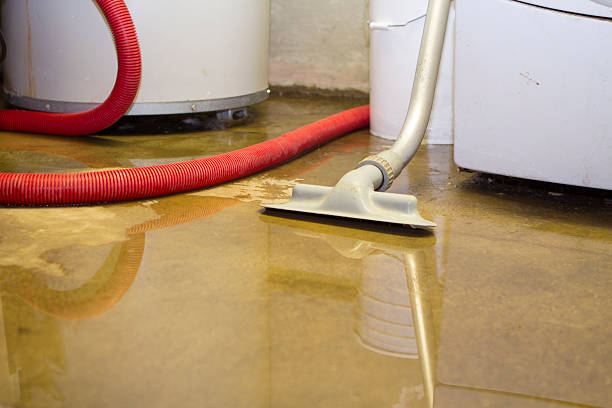 Best Water damage restoration company  in Gardnerville Ranchos, NV