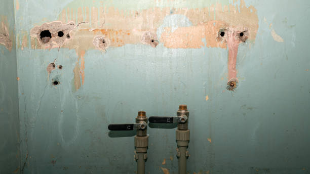 Best Water damage restoration near me  in Gardnerville Ranchos, NV