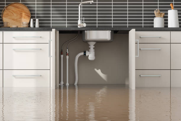 Best Local water damage restoration  in Gardnerville Ranchos, NV