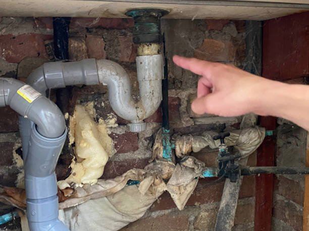 Best Water damage contractors near me  in Gardnerville Ranchos, NV