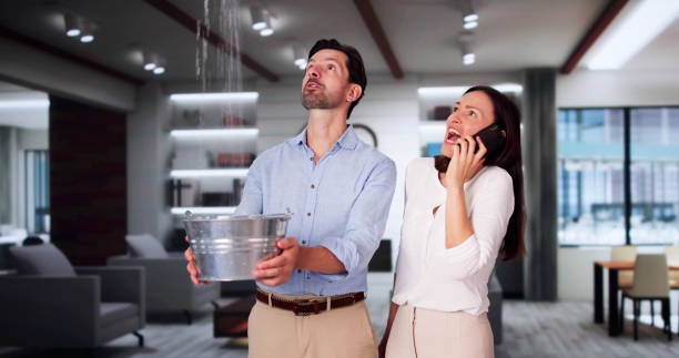 Best Residential water damage restoration  in Gardnerville Ranchos, NV