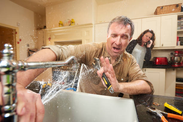 Best Water damage cleanup near me  in Gardnerville Ranchos, NV